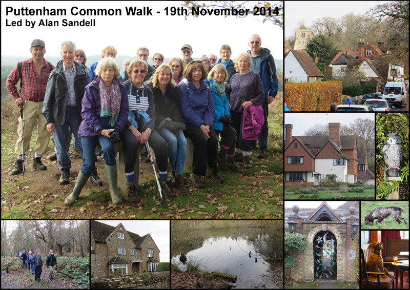 Puttenham Common Walk - 19th November 2014